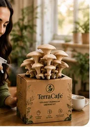 Customer spraying a TerraCaffe kit with water at home